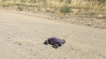 ECX Circuit 1/10 2WD Wheelie