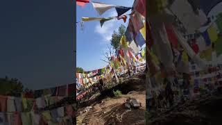 Free Tibet - Love From India | Tibetan Flag Temple | Gallu Naddi Dharamshala Himachal #Tibetan