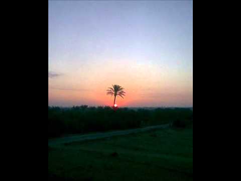 صبح الصباح  الفنانة نجاح سلام