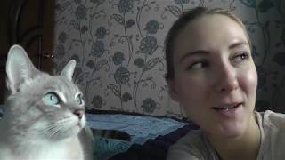 VLOG: ДЕЛАЕМ ПРИВИВКУ УМКЕ/ПИСАЕТ НА КУХНЕ/В АШАНЕ ПОКУПАЕМ ДЛЯ УМКИ/КЛАССНОЕ ШАМПАНСКОЕ VLOG: ДЕЛАЕМ ПРИВИВКУ УМКЕ/ПИСАЕТ НА КУХНЕ/В АШАНЕ ПОКУПАЕМ ДЛЯ УМКИ/КЛАССНОЕ ШАМПАНСКОЕ