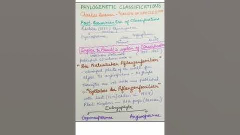 M Sc III Engler & Prantl