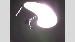 moth by pes in does respond