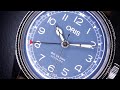 ORIS BIG CROWN Pointer Date Grey Dial | Could be a Seiko Alpinist Alternative? SPB201