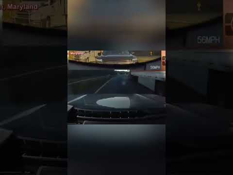 Florida Man Rage: Traffic Chaos Across the US! #shorts