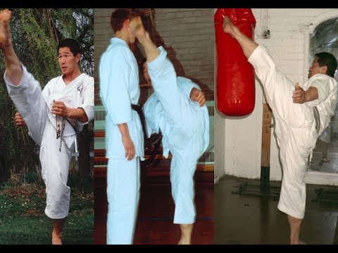 shotokan karate moves