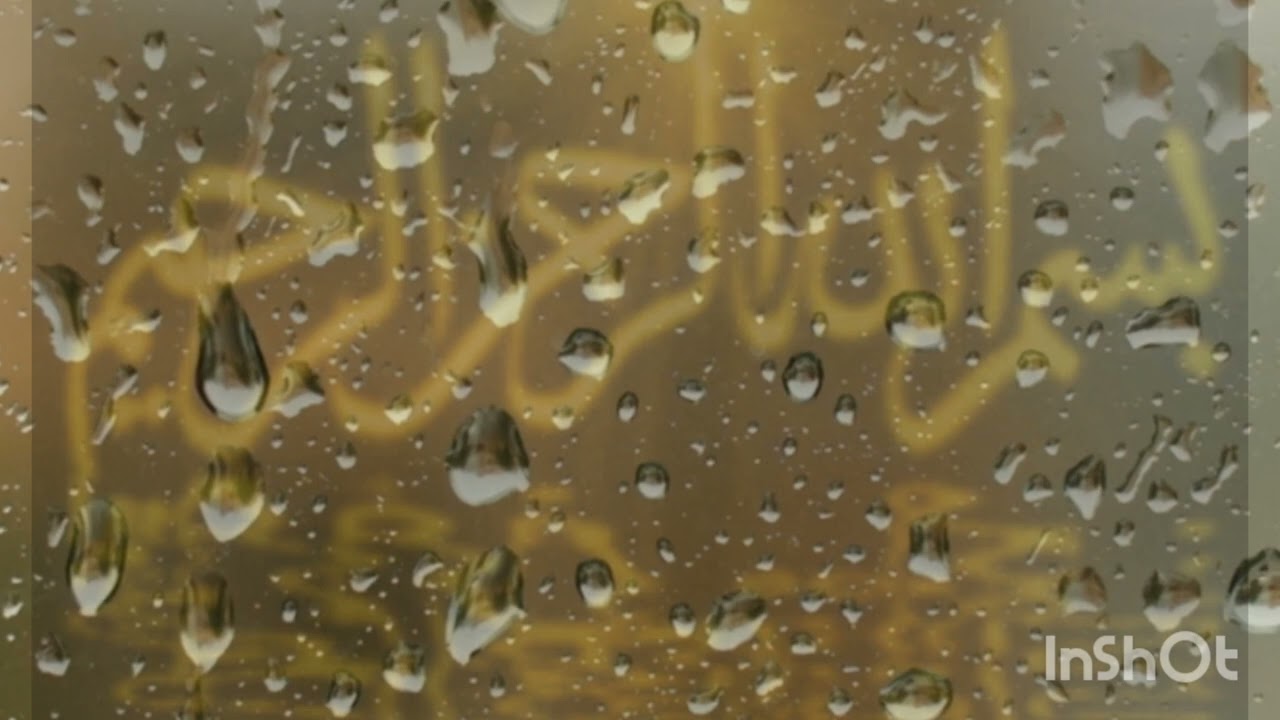 7 الجزء السابع من القرآن الكريم ( لتجدن اشد الناس عداوة ...) بصوت الشيخ محمد المحيسني