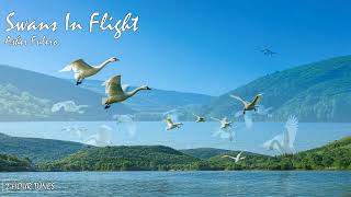 Swans In Flight - Asher Fulero | 2-hour tune | Endless loop | Copyright Free!