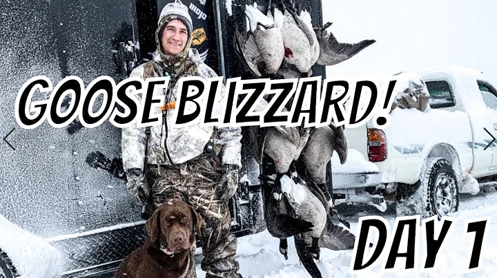GOOSE BLIZZARD 2019 (DAY 1) - Hunt The Front in Colorado!