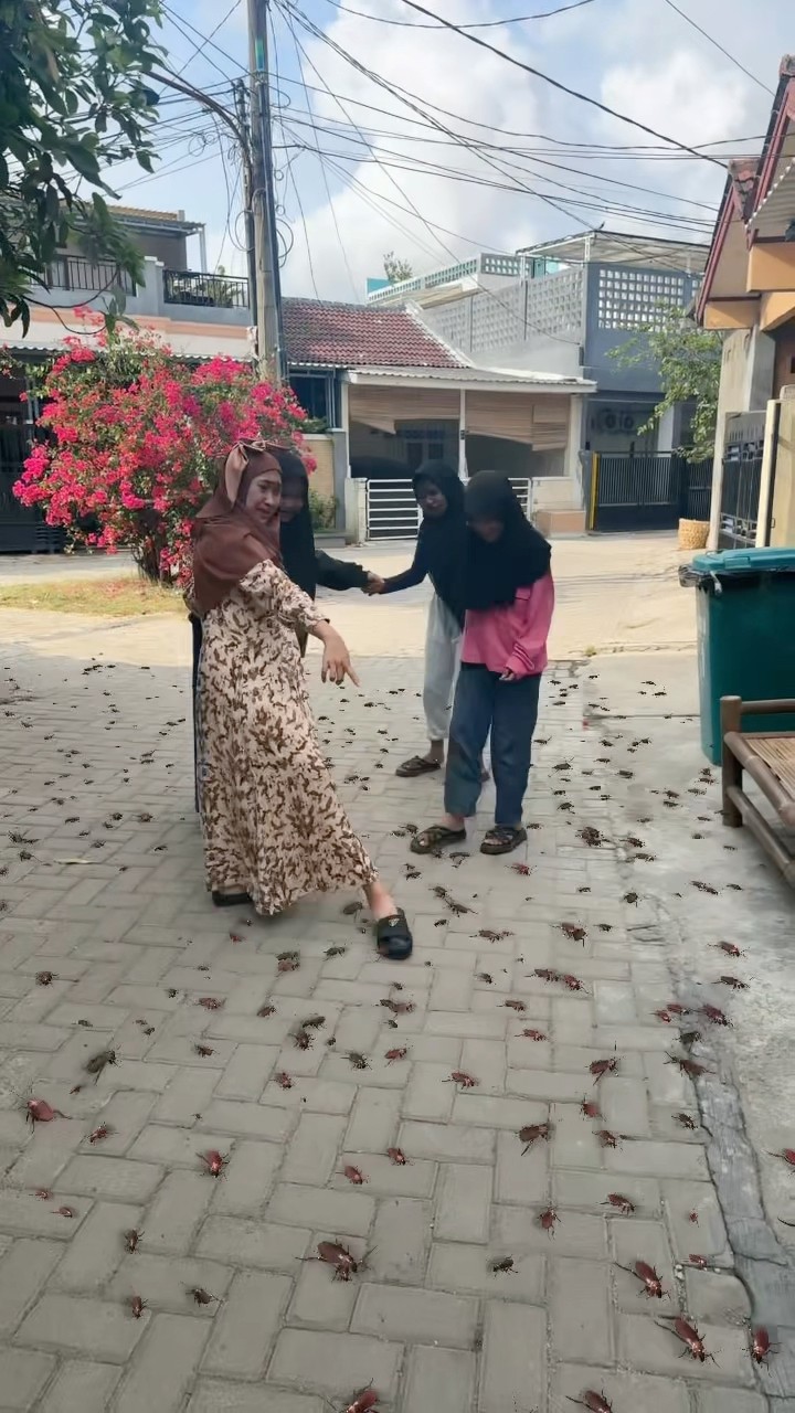 BANYAK BANGET KECOA ?