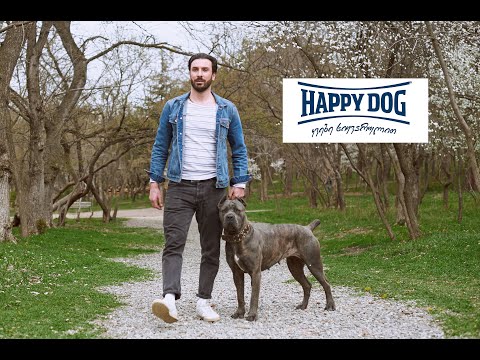 \"ჯესის მეგობარი\" - ჰეფი დოგი!