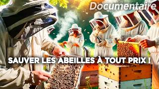 Pourquoi les abeilles disparaissent ? La vérité choc 🐝⚠️ - Documentaire complet