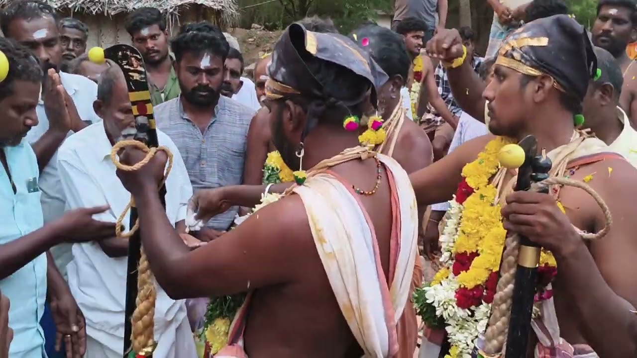 கருப்பச்சாமி ராக்காயி அம்மன் 2025 களரி பனையனேந்தல்