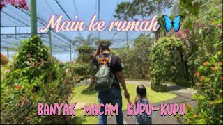 MAIN KE KEMENUH BUTTERFLY PARK GIANYAR BALI