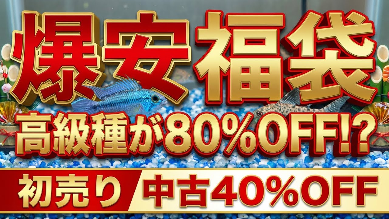 衝撃価格】高級魚が1匹〇〇円！？赤字覚悟の「最強福袋」と謎の