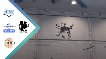 Video Aerial Physical Interaction in Grabbing Conditions With Lightweight and Compliant Dual Arms