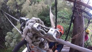 Kohala Zipline