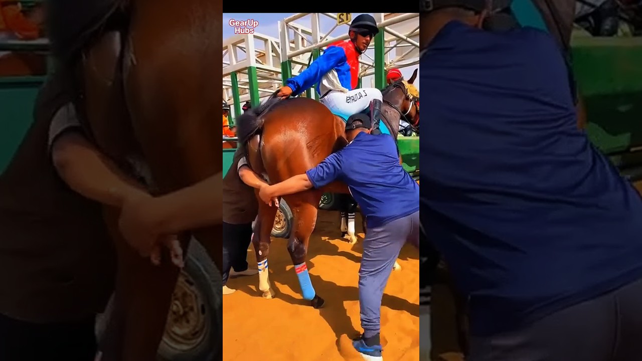 Scary Moment! 😱 Horse Got Terrified Suddenly 🐎