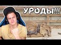 Bazya СМОТРИТ - ОН БЫЛ ПРИКОВАН 20 ЛЕТ! ВОТ ЧТО СЛУЧИЛОСЬ ПОСЛЕ ТОГО, КАК ЕГО ВЫПУСТИЛИ