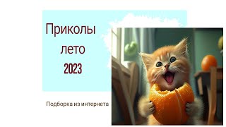 Приколы с животными 2023