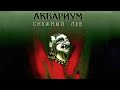 ÅКВАРИУМ • СНЕЖНЫЙ ЛЕВ (1996) Concert