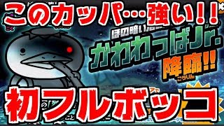 [The Battle Cats] Conquering the dark swamp! I got my first laugh of the new year, but my first b... screenshot 2