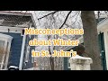 Misconceptions About Winter in St. John’s
