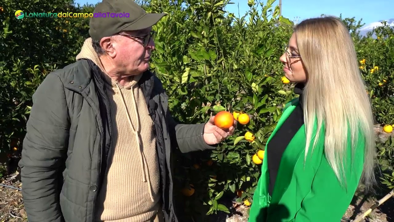 Arance rosse di Sicilia più piccole ma sempre buone