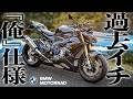 【総額◯◯万円？！】rizomaにアクラポ...全ブッパカスタムで過去最高の愛車が完成したゼ...【BMW S1000R】
