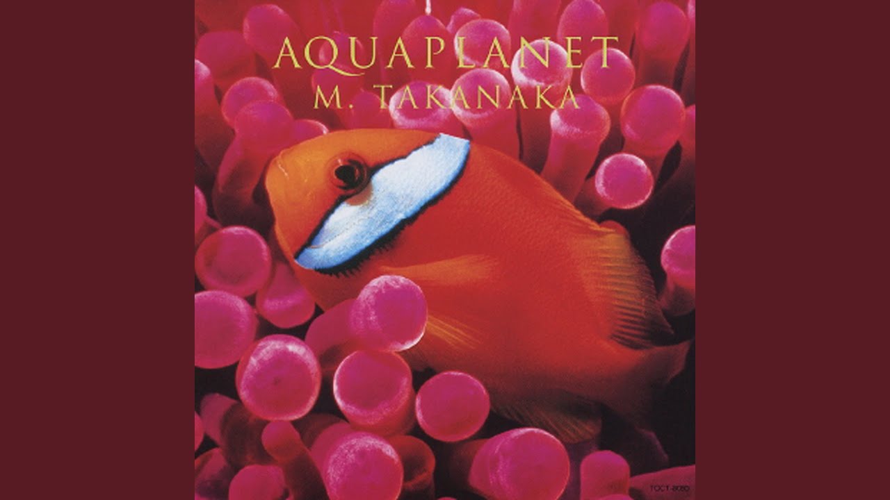 Watch Triggerfish on YouTube Watch Triggerfish on YouTube