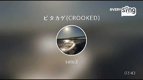 [everysing] ピタカゲ(CROOKED)