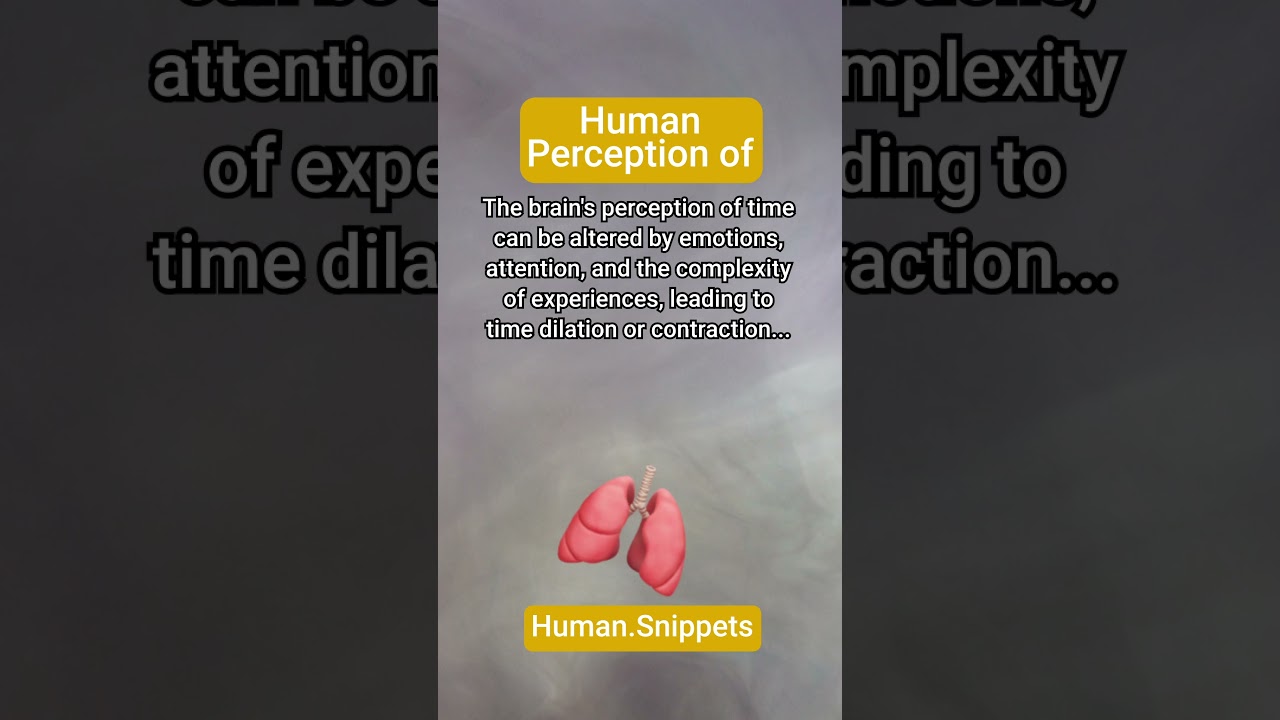 ⌛ PerceptionOfTime 