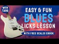 Fun Aggressive Blues Licks in the SRV style - with TABS and FREE eBook