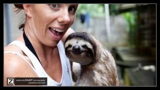 Cute & Funny Sloth Compilation 2017