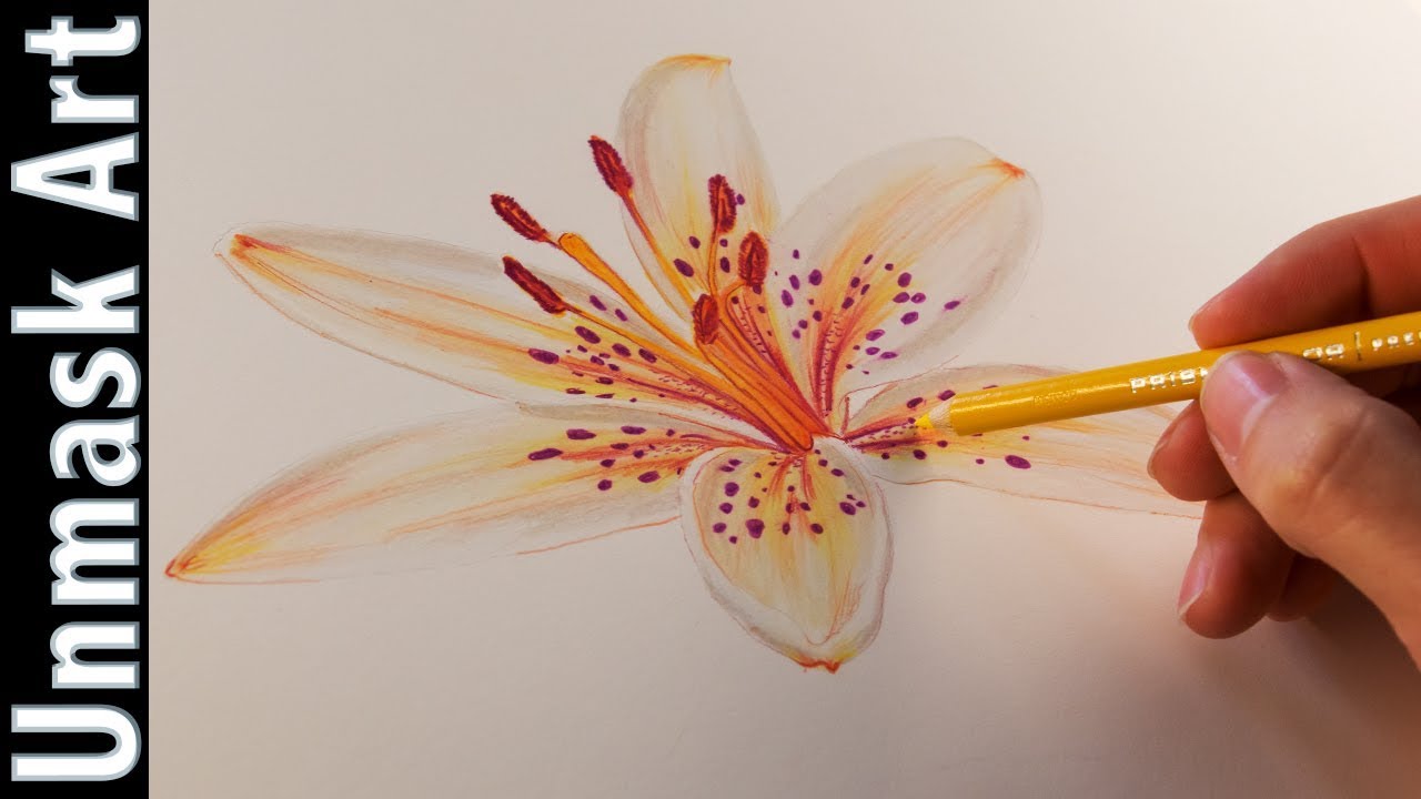 How To Color A Flower With Prismacolor Colored Pencils For Beginners Youtube If so, we've got just the thing which you're looking for, below are a few simple and basic drawing tips for beginners. how to color a flower with prismacolor colored pencils for beginners