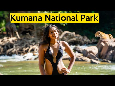 Is Kumana Better Than Yala National Park In Sri Lanka