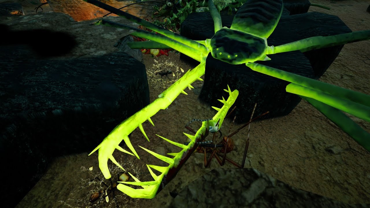 Empires of the Undergrowth Enemy of My Enemy Insane