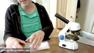How to use My First Microscope