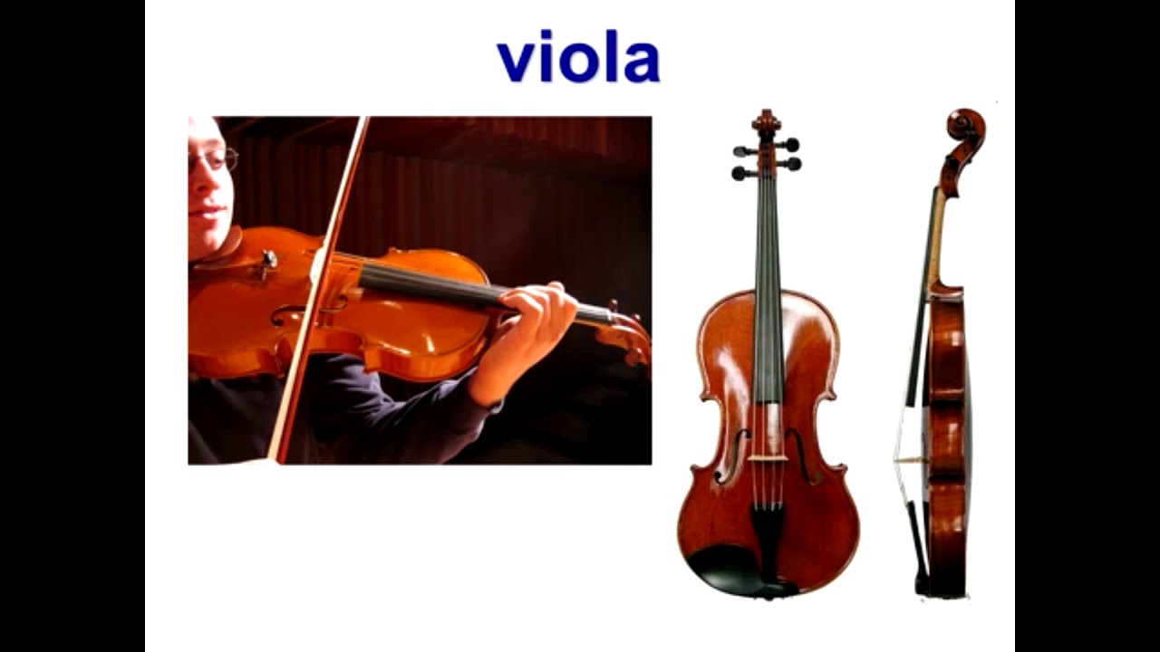 духовые и ударные инструменты. музыкальные инструменты иллюстрации. звуки музыкальных инструментов для детей. звучание музыкальных инструментов. звучащие музыкальные инструменты.