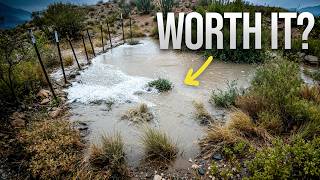 I Built Desert Beaver Dams 5× Faster. Are They Worth It