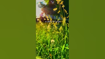 (With English Translation) - Raad Alkurdiإن في ذلك لآيات لقوم يعقلون – رعد الكردي