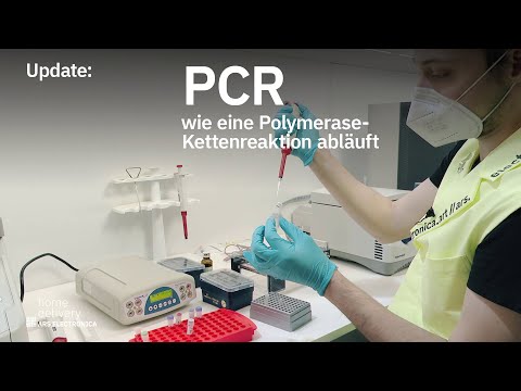 Update: PCR – wie eine Polymerase-Kettenreaktion abläuft