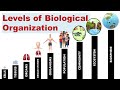 مستويات التنظيم البيولوجي