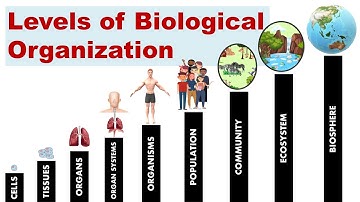 Levels of Biological Organization