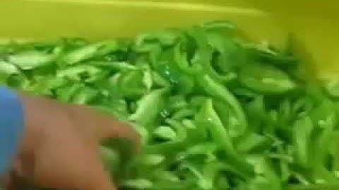 Máy cắt lát ớt chuông Emura model ECA 202