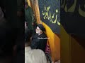 #youtube #birds #comedyvideos #funnyclips #reelsinstagram #love #kashmiri #viral #copyright #news