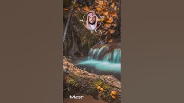 ما تيسر من #سورة_يس القارئ الشيخ #عبدالله_الموسى