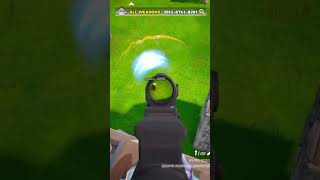 Look At This Crazy Snipe I Did -2502