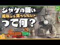 【考察】実は超合理的？ シャケが「おいしく食べられたい」と願う理由 - Splatoon3【SPLABO!】