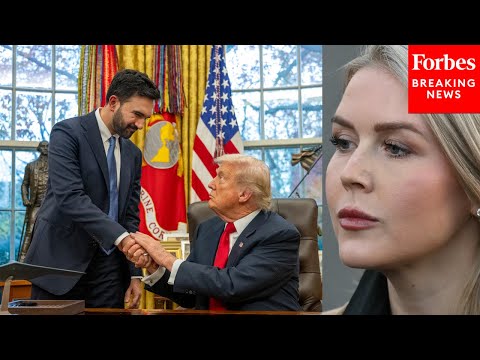 Karoline Leavitt Brushes Off Zohran Mamdani Labelling Trump A Despot And Fascist After Meeting