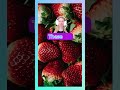 Can you guess this fruit in english? #strawberry #strawberries #fruits #fruitsname